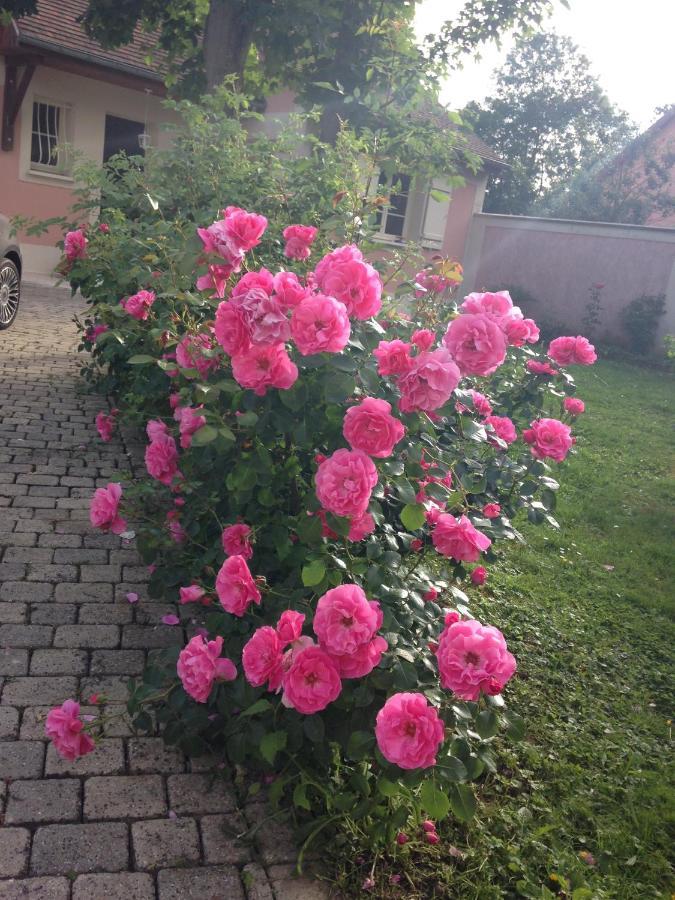Rose Garden Mezzanine Bed & Breakfast Giverny Ngoại thất bức ảnh