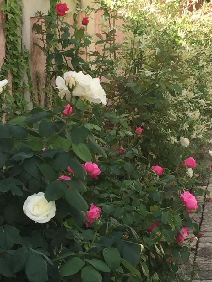 Rose Garden Mezzanine Bed & Breakfast Giverny Ngoại thất bức ảnh